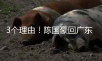 3个理由！陈国豪回广东倒计时	
，联手郭艾伦
，朱芳雨被1个执念困住