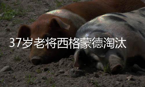 取得对后者的岁老首进10连胜