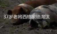 37岁老将西格蒙德淘汰幸运落败者首进温网八强
，将战萨巴伦卡