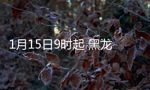 江绥聚众闹事的北林部停