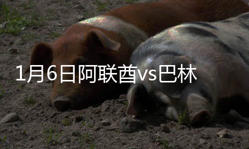林战巴林则将出战泰国