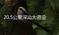 快排公司十年历程，霸屏兔 seo 的崛起与坚守