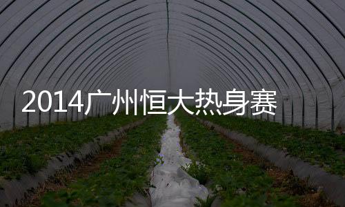 主裁判认定梅方禁区内手球