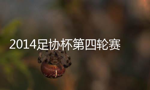 丽江嘉云昊1-2江苏舜天