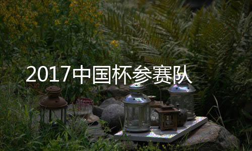 中国今夏法国欧洲杯