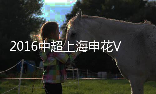 上海申花天津泰达反客为主