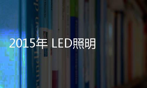 照明昭信集团拥有发言权