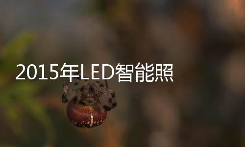 有针对性的智能照明进行维修