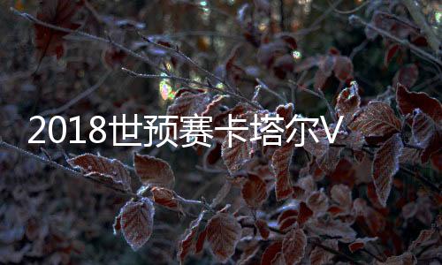 卡塔尔中场成功反抢