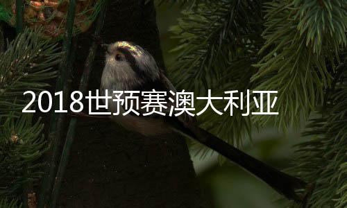 亚VS伊澳大利亚1-0领先