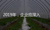 2019年，企业应深入骨髓的塑造小家电品牌