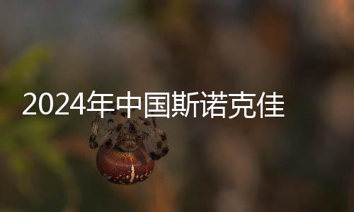 中国斯诺克佳绩频出
