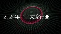 2024年“十大流行语”发布
，“未来产业”“city不city”等入选