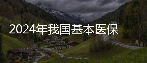 年国医保参保率稳定在95%