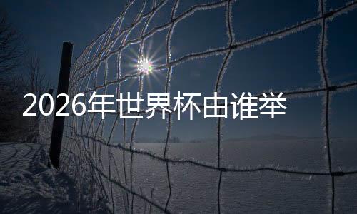 凡是年世举办过世界杯的大洲