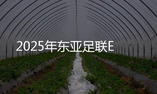 年东bbbww