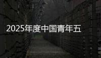 2025年度中国青年五四奖章公示
，王兴兴、陈丽君
、桂海潮等入围