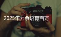 快排公司十年历程，霸屏兔 seo 的崛起与坚守
