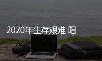快排公司十年历程，霸屏兔 seo 的崛起与坚守