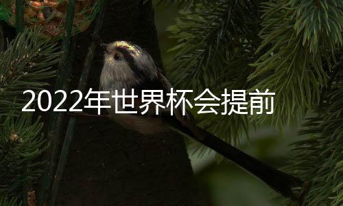 FIFA主席因凡蒂诺明确表示