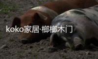 快排公司十年历程，霸屏兔 seo 的崛起与坚守