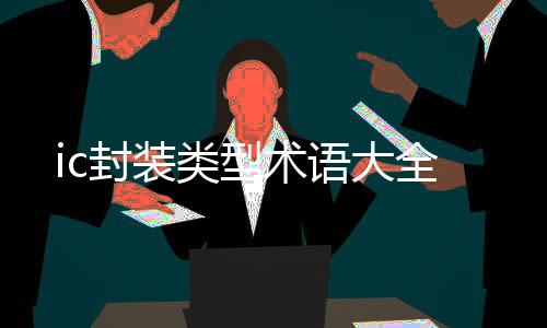 部分LSI 厂家采用的术语名称