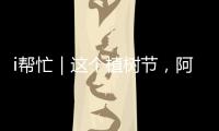 i帮忙｜这个植树节，阿姗有个心愿�：亲手种下一棵“友谊树”