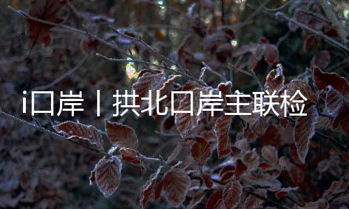 检楼境人工查验通道32条