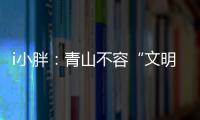 i小胖：青山不容“文明之垢”