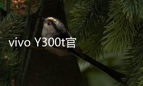 月日采用台积电第二代4nm工艺